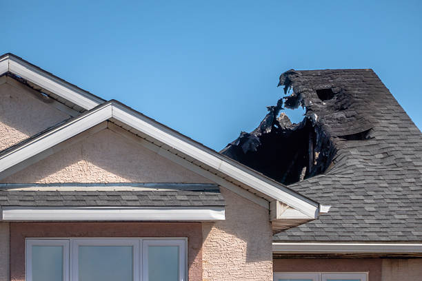 Top rated local Odor Removal specialists in New Windsor, MD